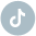 tiktok icon